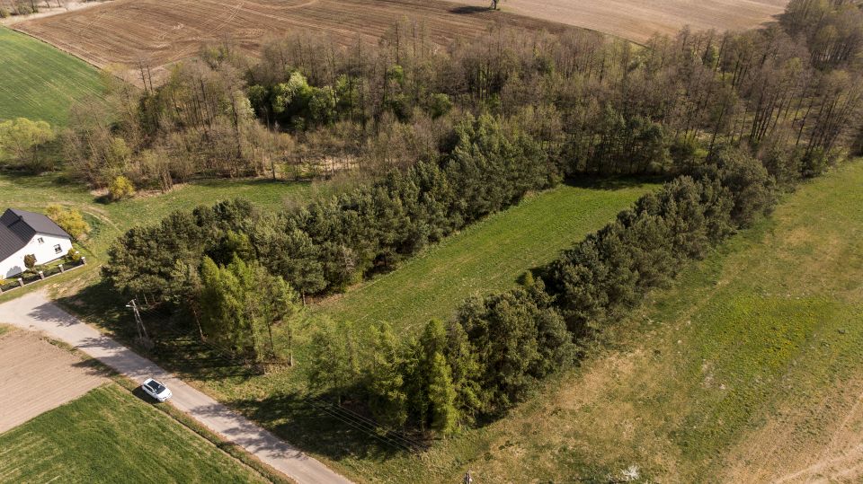 Działka rekreacyjna Zambski Stare