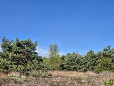 Działka Biskupice Oławskie