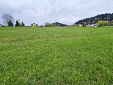 Działka budowlana Inwałd