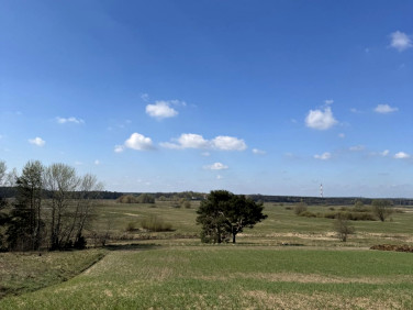Działka budowlana Rogalinek