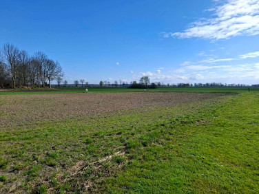 Działka budowlana Miłoradz