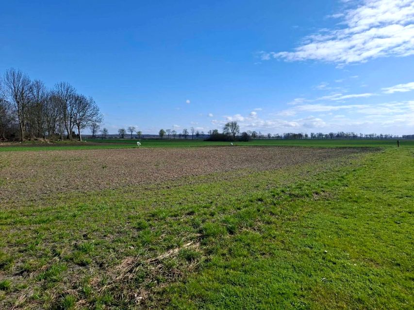 Działka budowlana Miłoradz