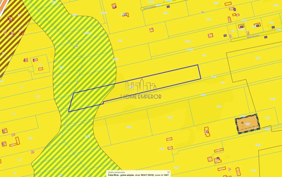 Działka siedliskowa Skuły