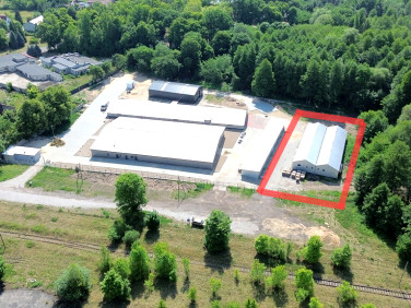 Budynek użytkowy Ośno Lubuskie wynajem