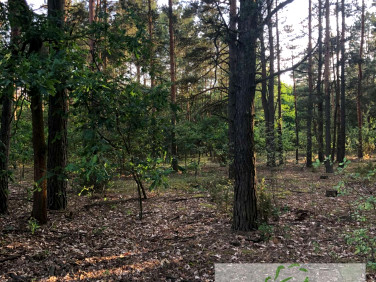 Działka Chrzczanka Włościańska