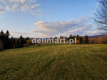 Działka rolna Werlas