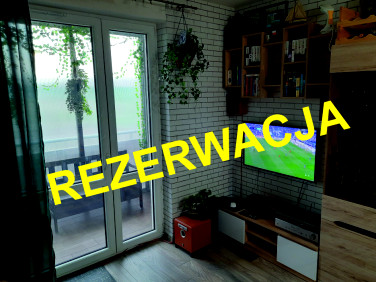 Mieszkanie Września