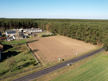 Działka Barłożnia Wolsztyńska