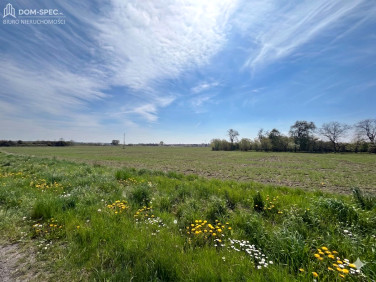 Działka budowlana Olza