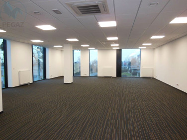 Lokal Poznań wynajem