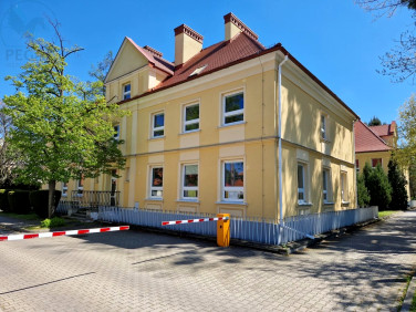 Lokal Poznań wynajem