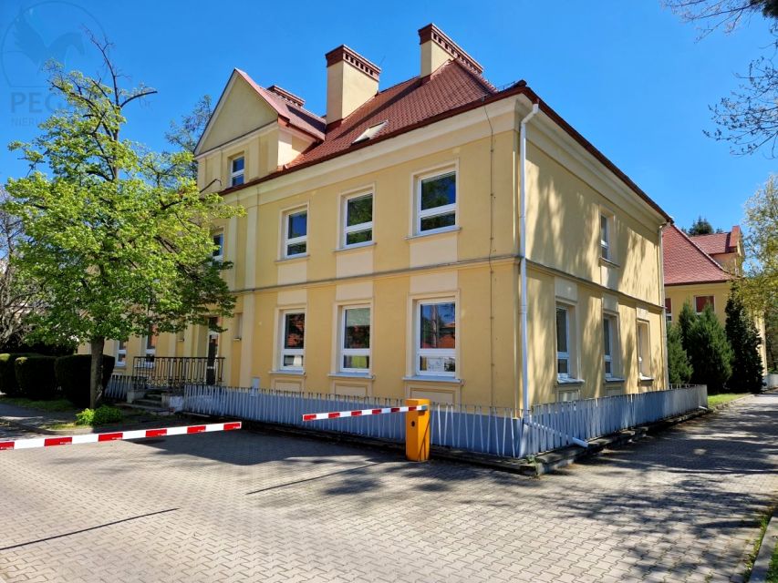 Lokal Poznań wynajem