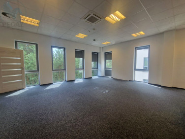 Lokal Dąbrowa wynajem