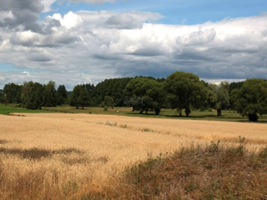 Działka inwestycyjna Milcz sprzedam