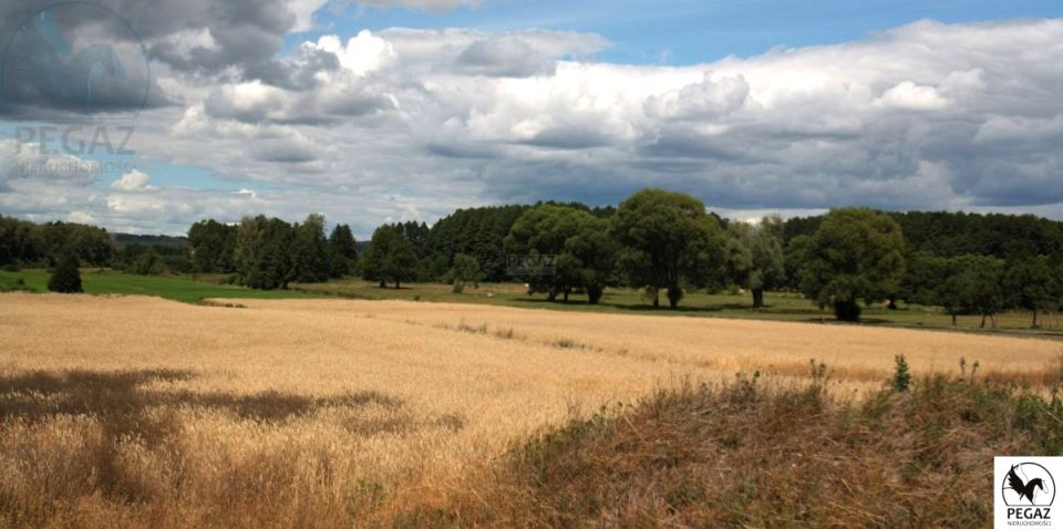 Działka inwestycyjna Milcz sprzedam