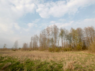 Działka rolna Milcz