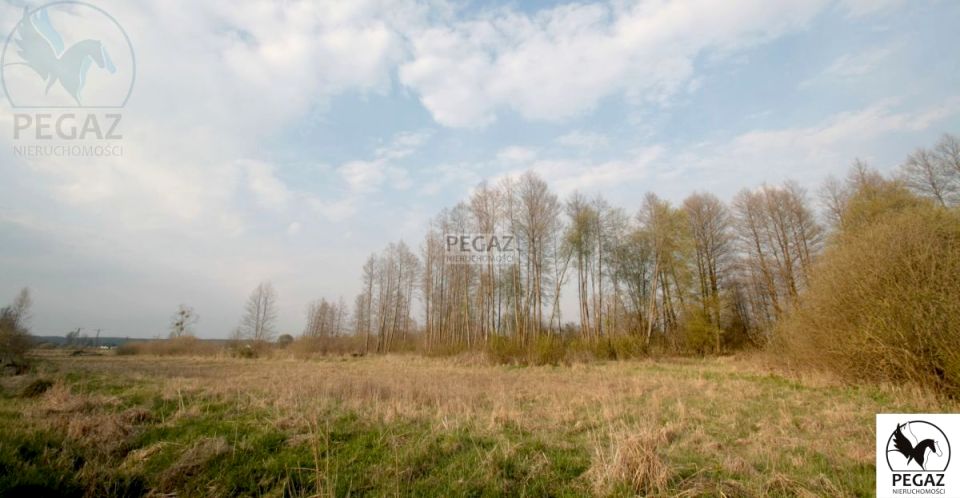 Działka rolna Milcz