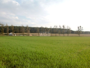 Działka inwestycyjna Milcz