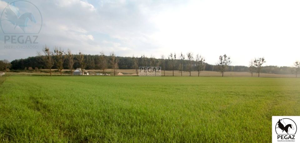 Działka inwestycyjna Milcz