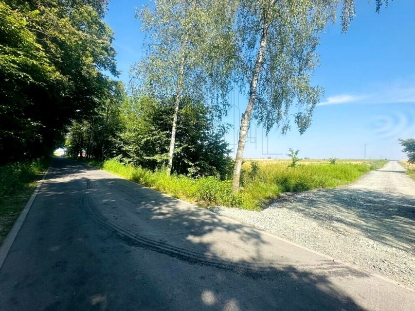 Zdjęcie 2