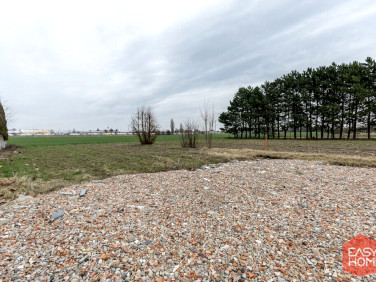 Działka budowlana Paczkowo