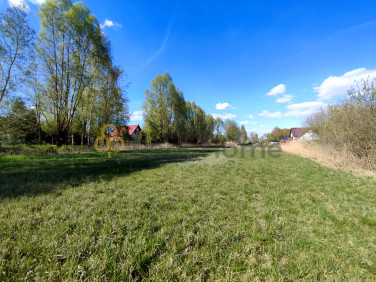 Działka Jeleńczewo