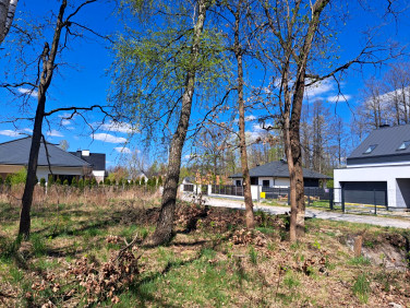 Działka budowlana Halinów