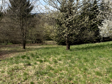 Działka budowlana Przemyśl