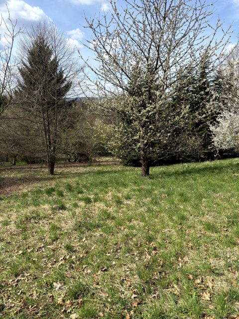 Działka budowlana Przemyśl