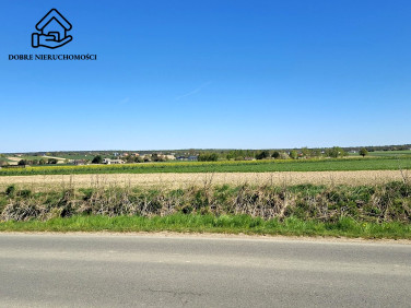 Działka budowlana Skrzynice Pierwsze sprzedam