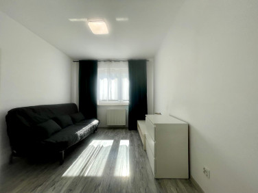 Mieszkanie Wrocław wynajem