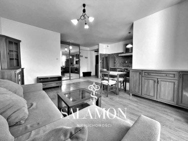 Mieszkanie Mierzyn wynajem