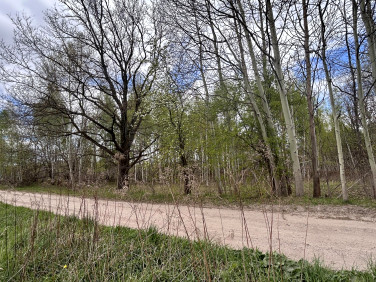 Działka rolna Zagościniec sprzedam