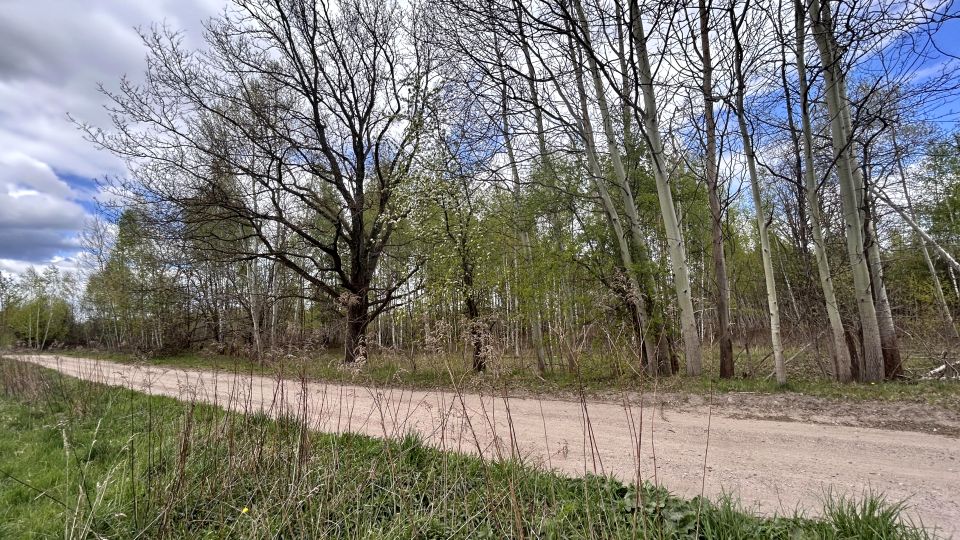 Działka rolna Zagościniec sprzedam