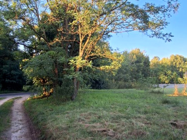 Działka budowlana Szumiąca