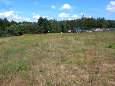 Działka budowlana Chycina