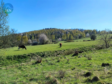 Działka budowlana Jeleśnia