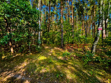 Działka inna Słubica Dobra