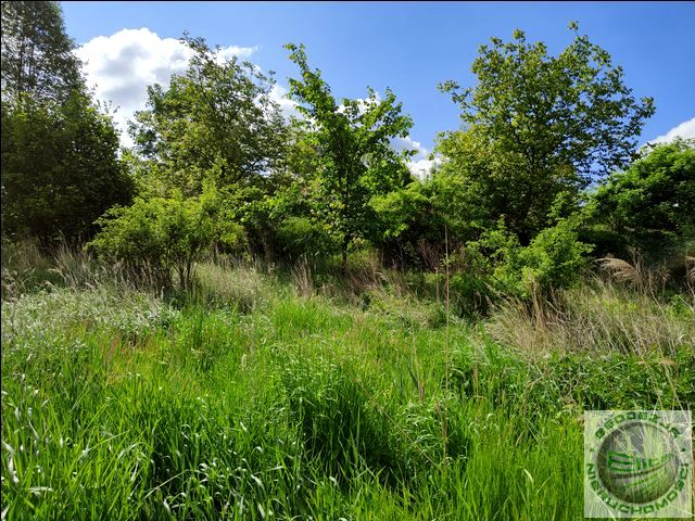 Działka rolna Biały Kościół