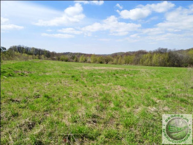 Działka rolna Łazy