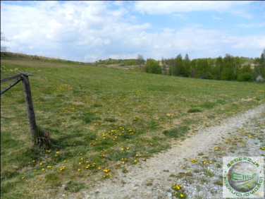 Działka rolna Wielka Wieś