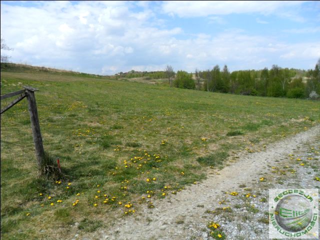 Działka rolna Wielka Wieś