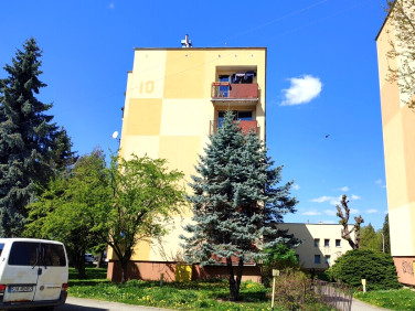 Mieszkanie Przemyśl