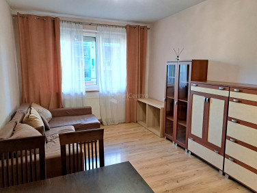 Mieszkanie Kraków wynajem