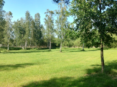 Działka rolna Szczechy Małe