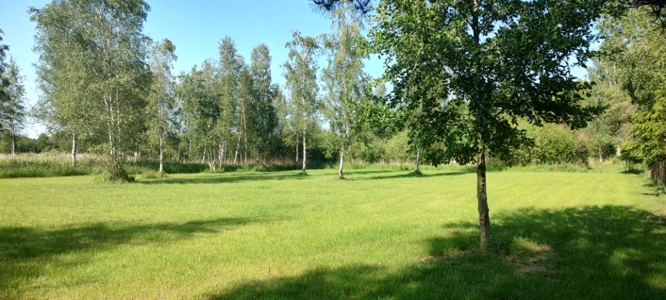 Działka rolna Szczechy Małe