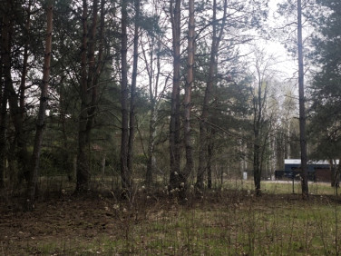 Działka budowlana Wyględy