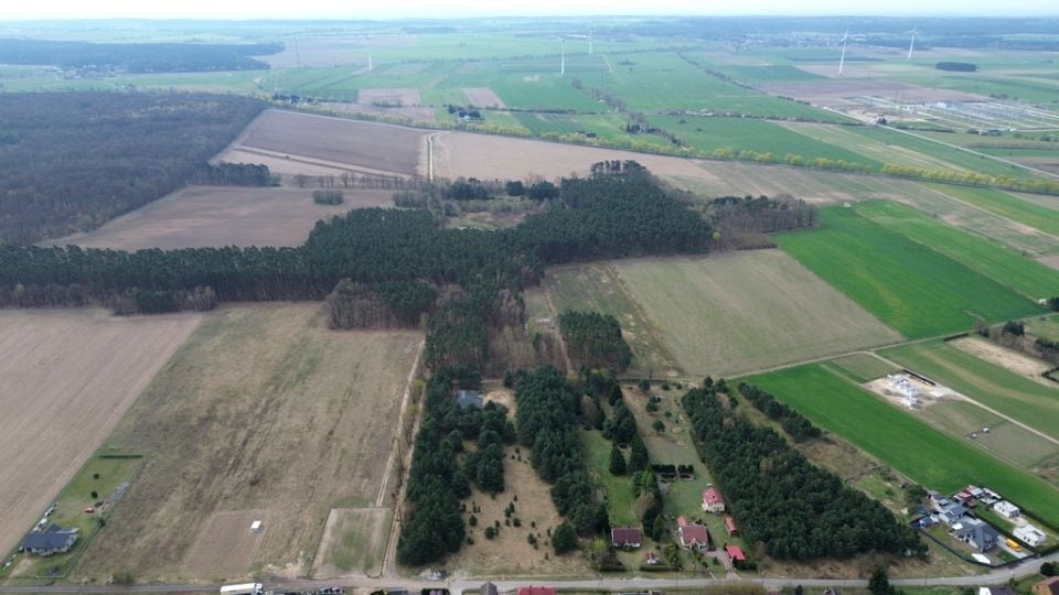 Zdjęcie 3