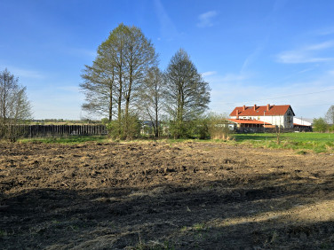 Działka Dąbie Chrobakowe