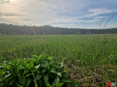 Działka Joniec